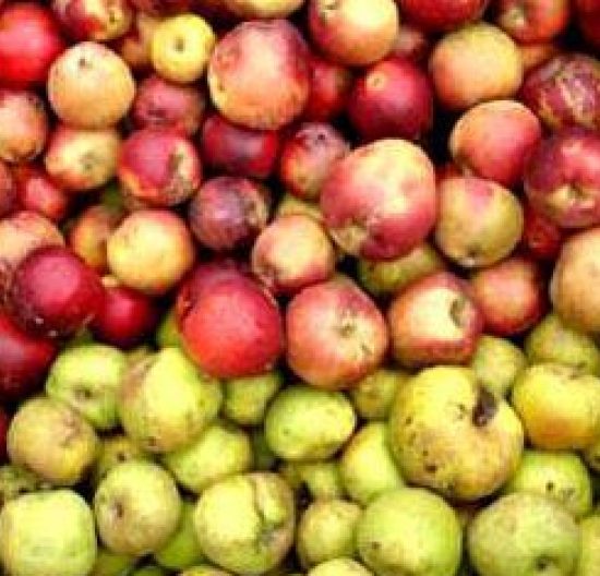 The Great British Apple Festival